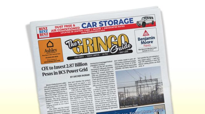 Front page of a newspaper titled The Gringo Guide, showing a bold main article about a power grid and several ads along the top and sides, tilted on a white background.