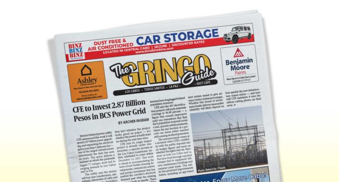 Front page of a newspaper titled The Gringo Guide, showing a bold main article about a power grid and several ads along the top and sides, tilted on a white background.