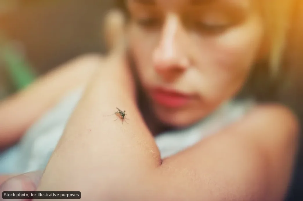 Dengue Season Checklist for Returning Snowbirds