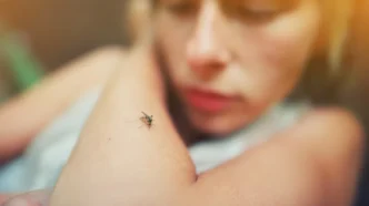 Dengue Season Checklist for Returning Snowbirds