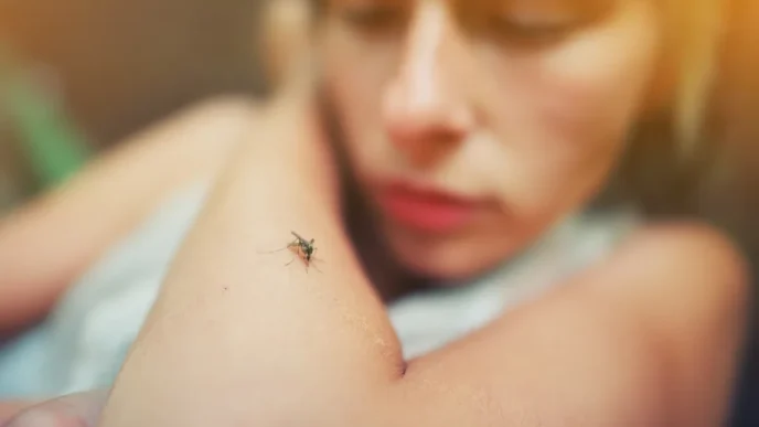 Dengue Season Checklist for Returning Snowbirds