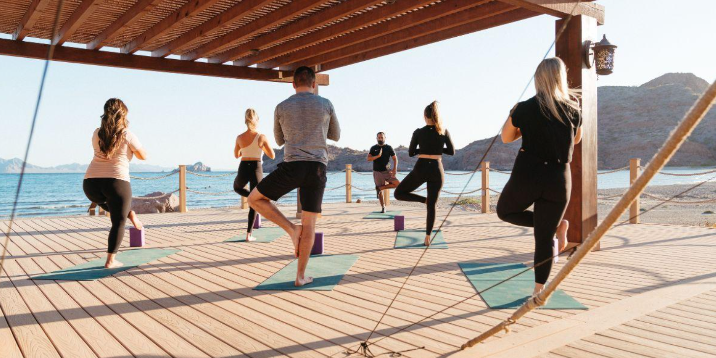 Group of people doing yoga on a sunlit wooden deck by the sea, in tree pose on their mats.