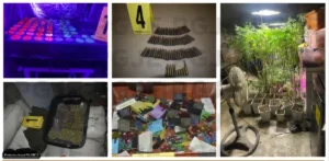 Cabo San Lucas Grow House Raided, Two Arrested