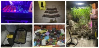 Cabo San Lucas Grow House Raided, Two Arrested