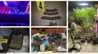 Cabo San Lucas Grow House Raided, Two Arrested