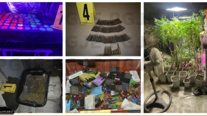 Cabo San Lucas Grow House Raided, Two Arrested