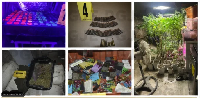 Cabo San Lucas Grow House Raided, Two Arrested