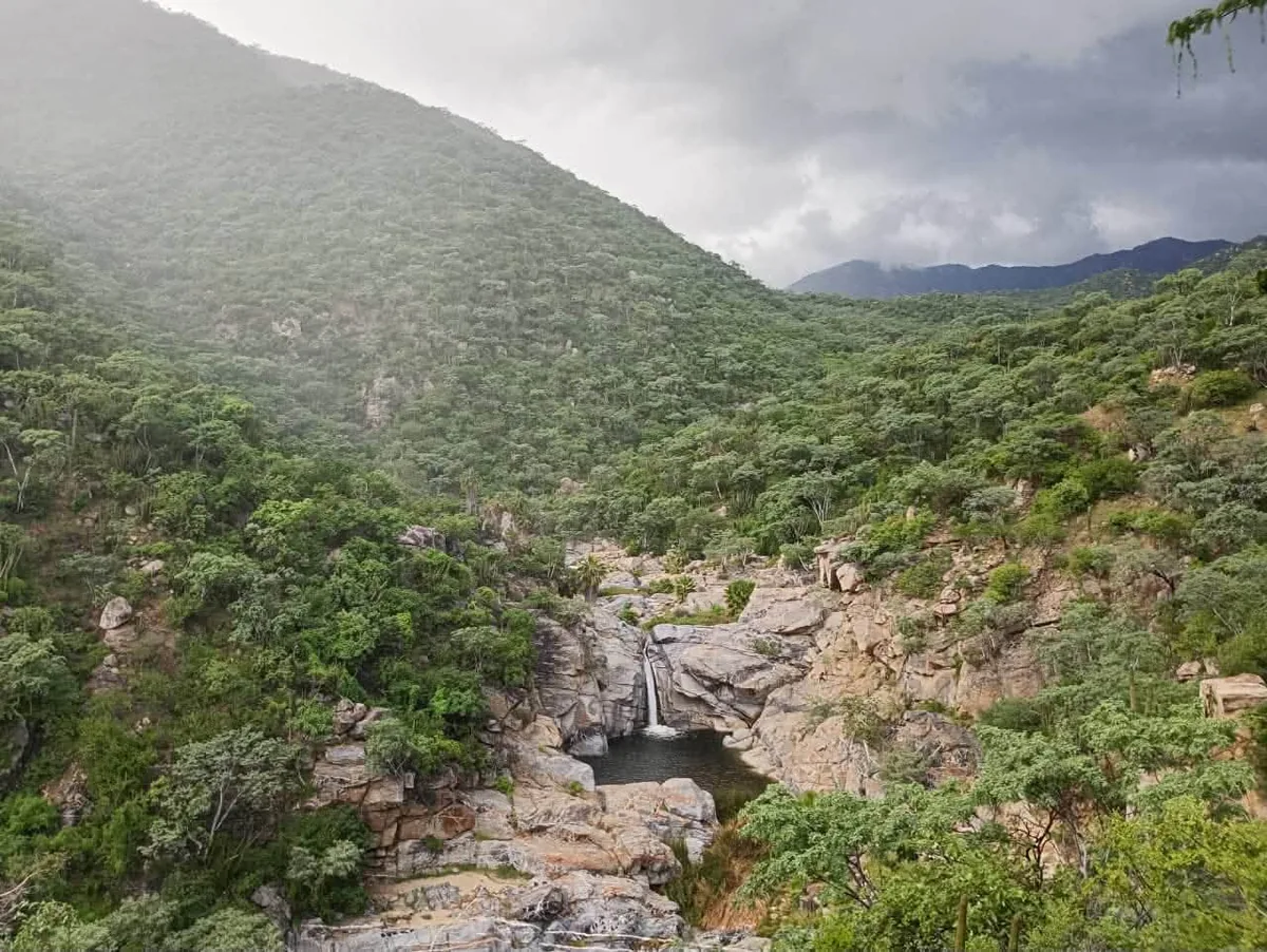 Dense green mountain valley with a small waterfall into a rocky pool