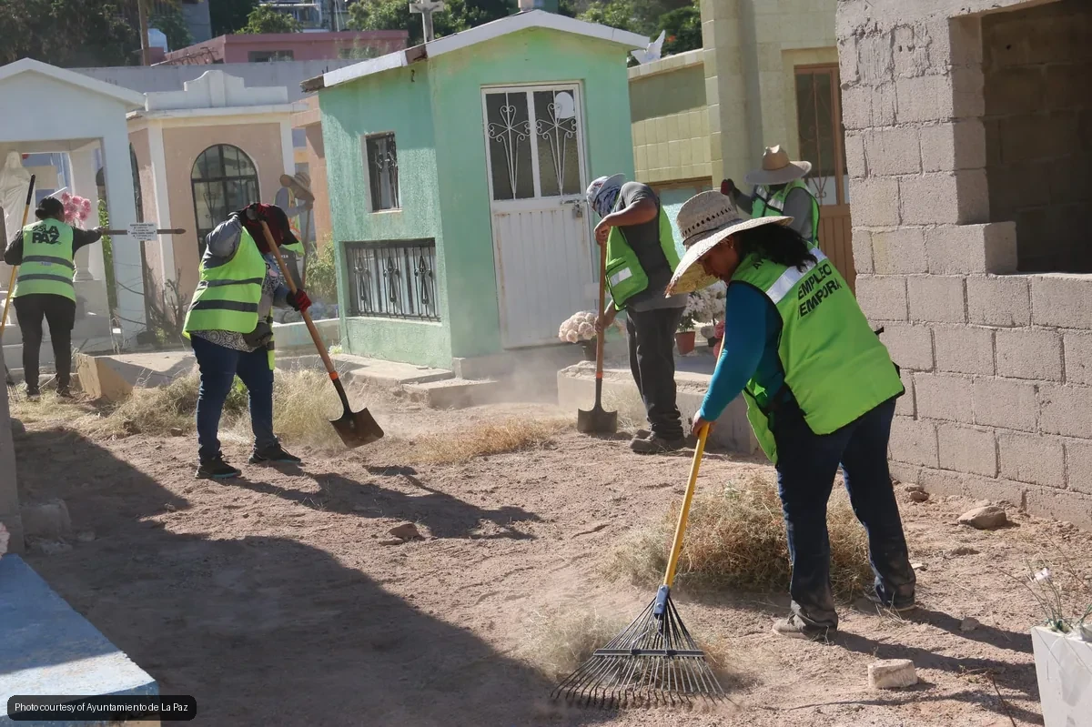 Women in neon vests sweeping dirt and raking a sunny neighborhood street, doing a community cleanup.