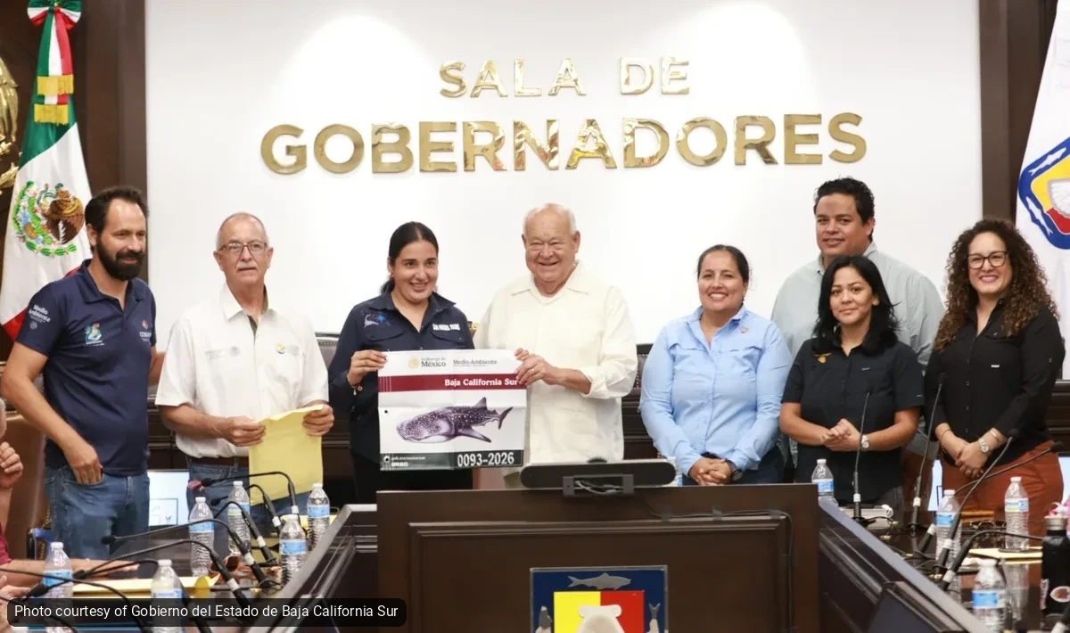 La Paz Issues 112 ID Flags for Whale Shark Tours - Gringo Gazette Group of officials in a government meeting room posing with a Baja California Sur fish poster in front of the 'SALA DE GOBERNADORES' sign.