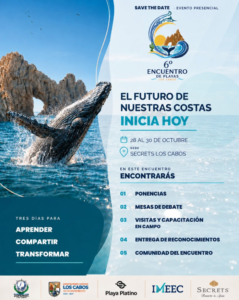 el futuro de nuestras costas Event poster for the 6th Encuentro de Playas Los Cabos: 'El futuro de nuestras costas inicia hoy'. Features a whale tail breaching the ocean with rocky arch, dates October 28–30 at Secrets Los Cabos, and sponsor logos along the bottom.