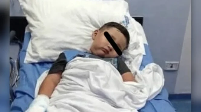 Toddler's Dengue Case Highlights Cabo Hospital Strain