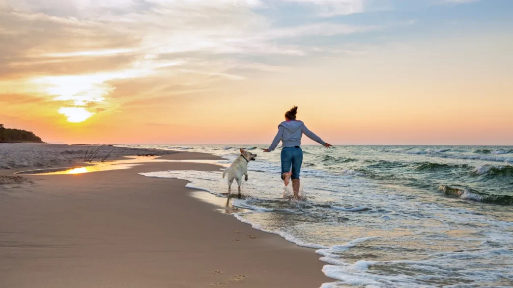 BCS Unveils Screwworm Prevention Plan for Pets