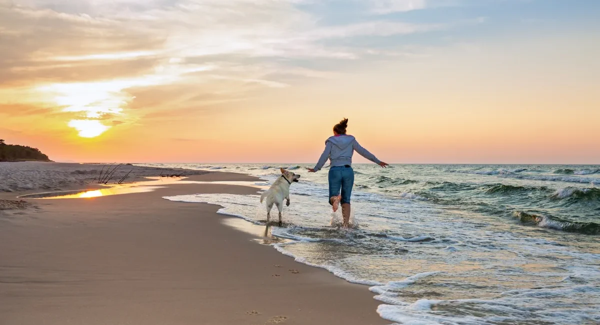 BCS Unveils Screwworm Prevention Plan for Pets