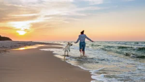 BCS Unveils Screwworm Prevention Plan for Pets