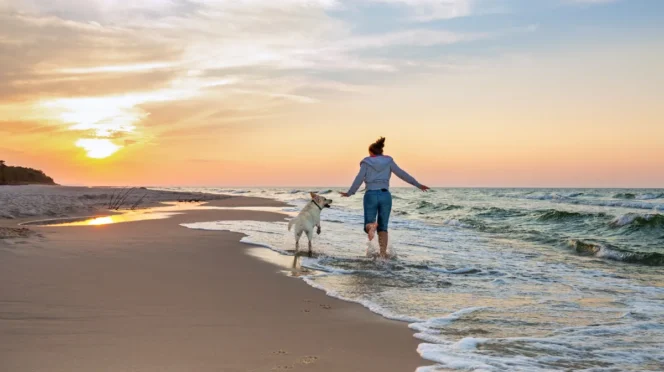 BCS Unveils Screwworm Prevention Plan for Pets